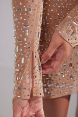 Sheer Embellished Long Sleeve A-Line Mini Dress
